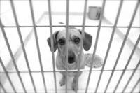  - ©  Copyright by This Workplace 2012. All Rights Reserved.