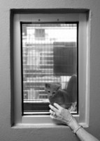  - ©  Copyright by This Workplace 2012. All Rights Reserved.