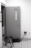  - ©  Copyright by This Workplace 2012. All Rights Reserved.