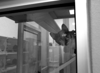  - ©  Copyright by This Workplace 2012. All Rights Reserved.