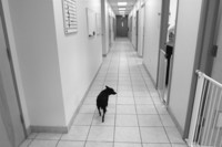  - ©  Copyright by This Workplace 2012. All Rights Reserved.