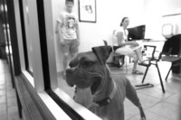  - ©  Copyright by This Workplace 2012. All Rights Reserved.
