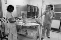  - ©  Copyright by This Workplace 2012. All Rights Reserved.