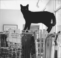  - ©  Copyright by This Workplace 2012. All Rights Reserved.