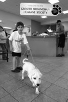  - ©  Copyright by This Workplace 2012. All Rights Reserved.