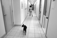  - ©  Copyright by This Workplace 2012. All Rights Reserved.