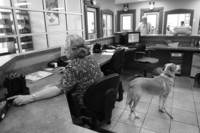  - ©  Copyright by This Workplace 2012. All Rights Reserved.