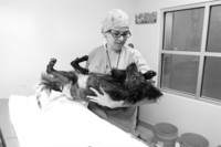 - ©  Copyright by This Workplace 2012. All Rights Reserved.