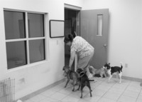  - ©  Copyright by This Workplace 2012. All Rights Reserved.