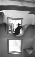  - ©  Copyright by This Workplace 2012. All Rights Reserved.