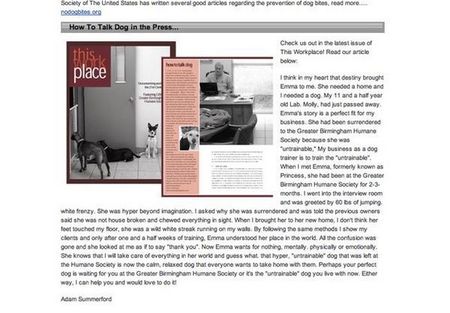 E-mailed newsletter and Facebook (social networking)