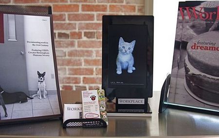 Print & digital display with branding